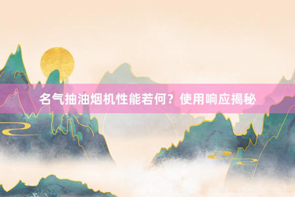 名气抽油烟机性能若何？使用响应揭秘