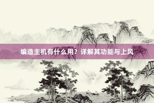 编造主机有什么用？详解其功能与上风