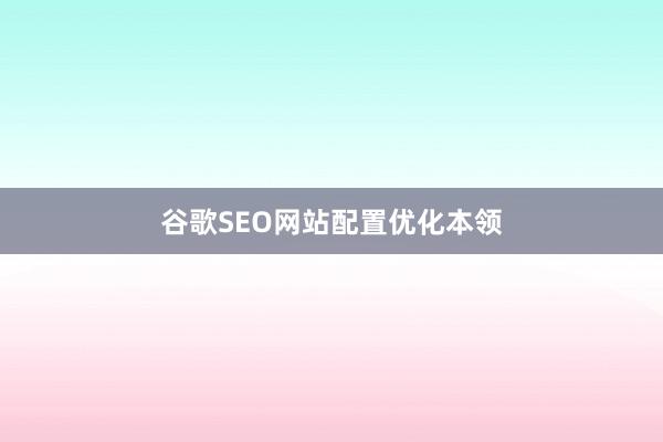 谷歌SEO网站配置优化本领