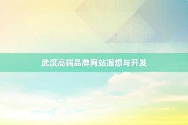 武汉高端品牌网站遐想与开发